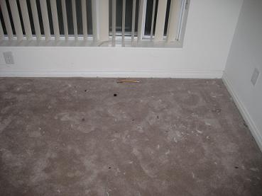 bedroom.JPG