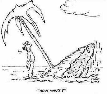 nowwhat.JPG