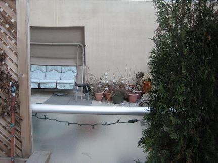 springpatio5.JPG