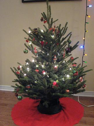 tree1.JPG