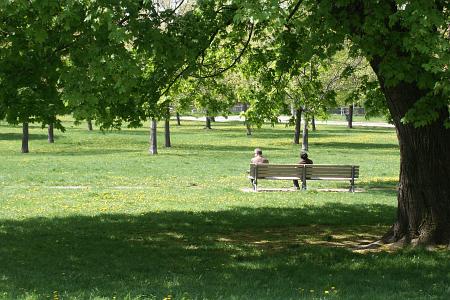 trinitypark.jpg