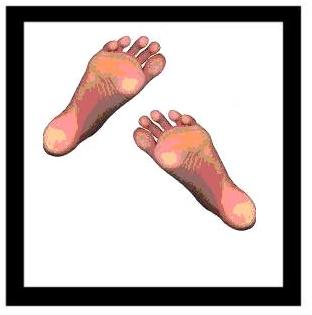 squarefoot.JPG