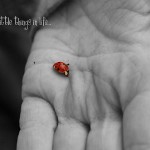 The Little Things…