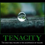 Tenacity!