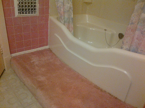 CarpetBath