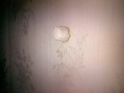 WallpaperPipe